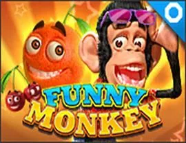 Funny Monkey