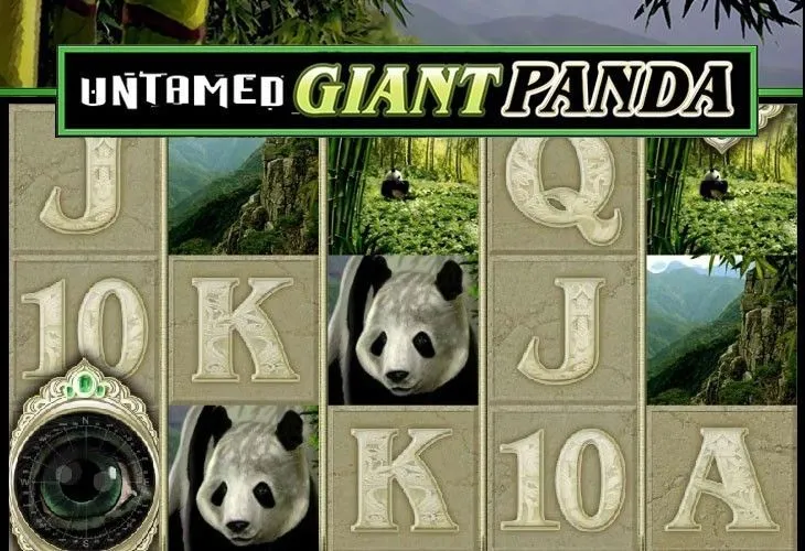 Untamed Giant Panda (Дикая Гигантская Панда)