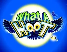 What a Hoot