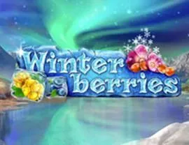 Winter Berries