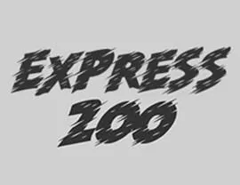 Express 200