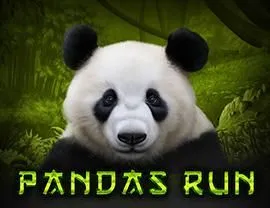 Panda's Run