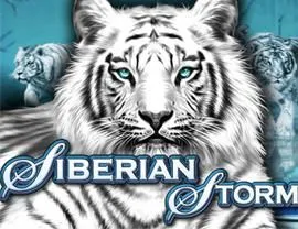 Siberian Storm
