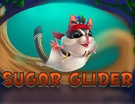 Sugar Glider