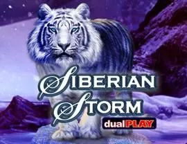 Siberian Storm Dual Play