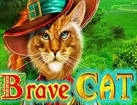 Brave Cat