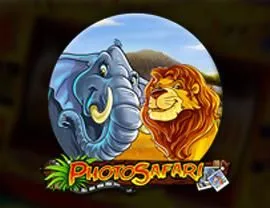 Photo Safari