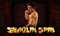 Shaolin Spin