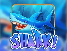Shark!