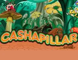 Cashapillar