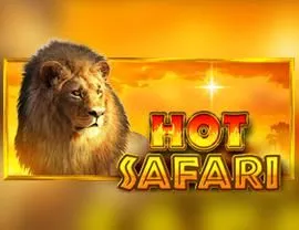 Hot Safari