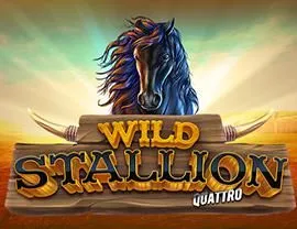 Wild Stallion