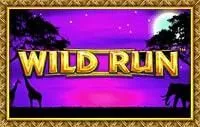 Wild Run