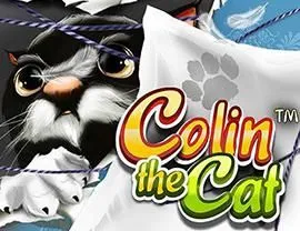 Colin the Cat