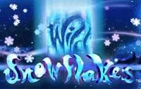 Snowflakes logo