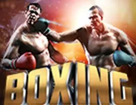 Boxing logo