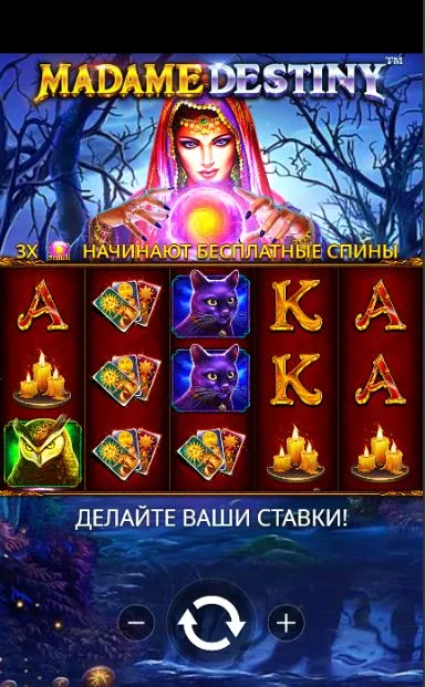 скриншот игрового поля с мобильного Madame Destiny