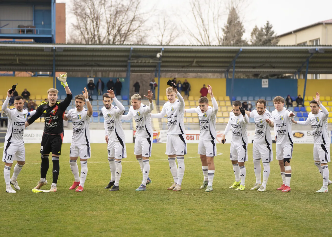 Местная команда на стадионе в Мезёкёвешде. Фото: Mezokovesd Zsory FC