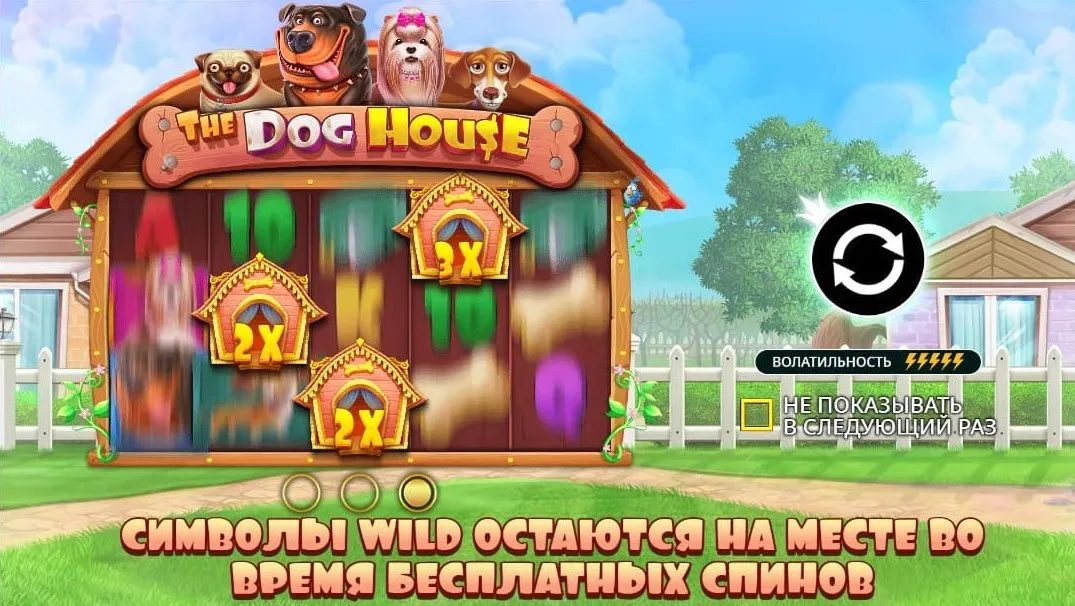 The Dog House