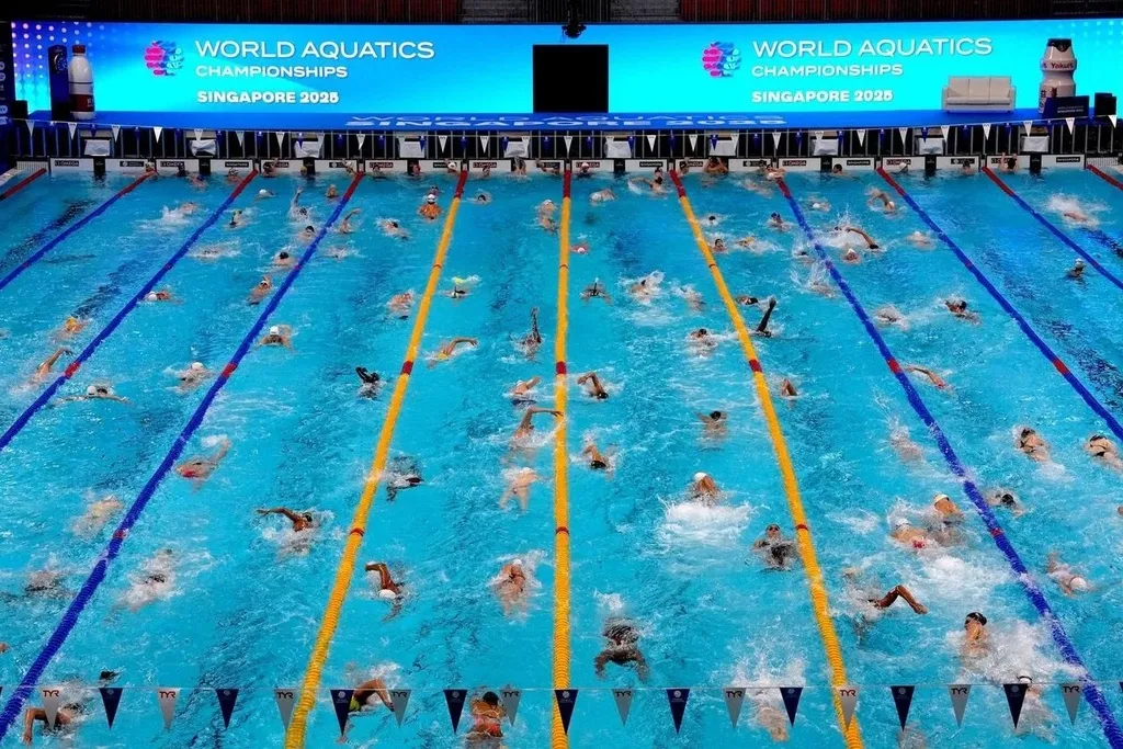 Белорусы завоевали три медали. Фото: World Aquatics