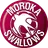 Team logo