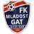 Team logo