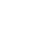 Platipus icon