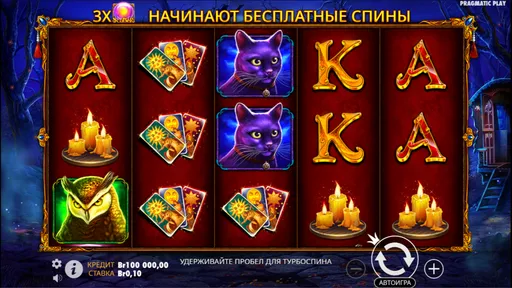 Так выглядит Madame Destiny