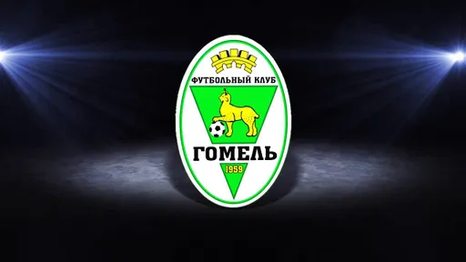 В «Гомеле» отреагировали на травму форварда Дениса Лаптева