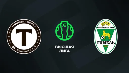 «Гомель» одолел «Торпедо-БелАЗ» в поединке Высшей лиги