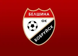 «Белшина» определилась с кандидатурой главного тренера