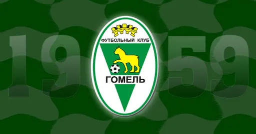 Гаврилович - о переходе в «Гомель»: все произошло достаточно быстро