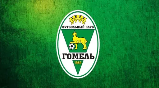 Игрок «Гомеля» Липницкий - о поединке с «Искрой»: очень упорный матч