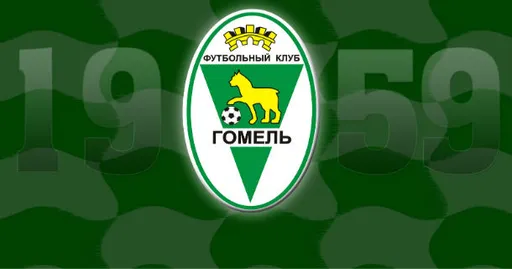 Вадим Мартинкевич и Георгий Кукушкин продлили контракты с «Гомелем»