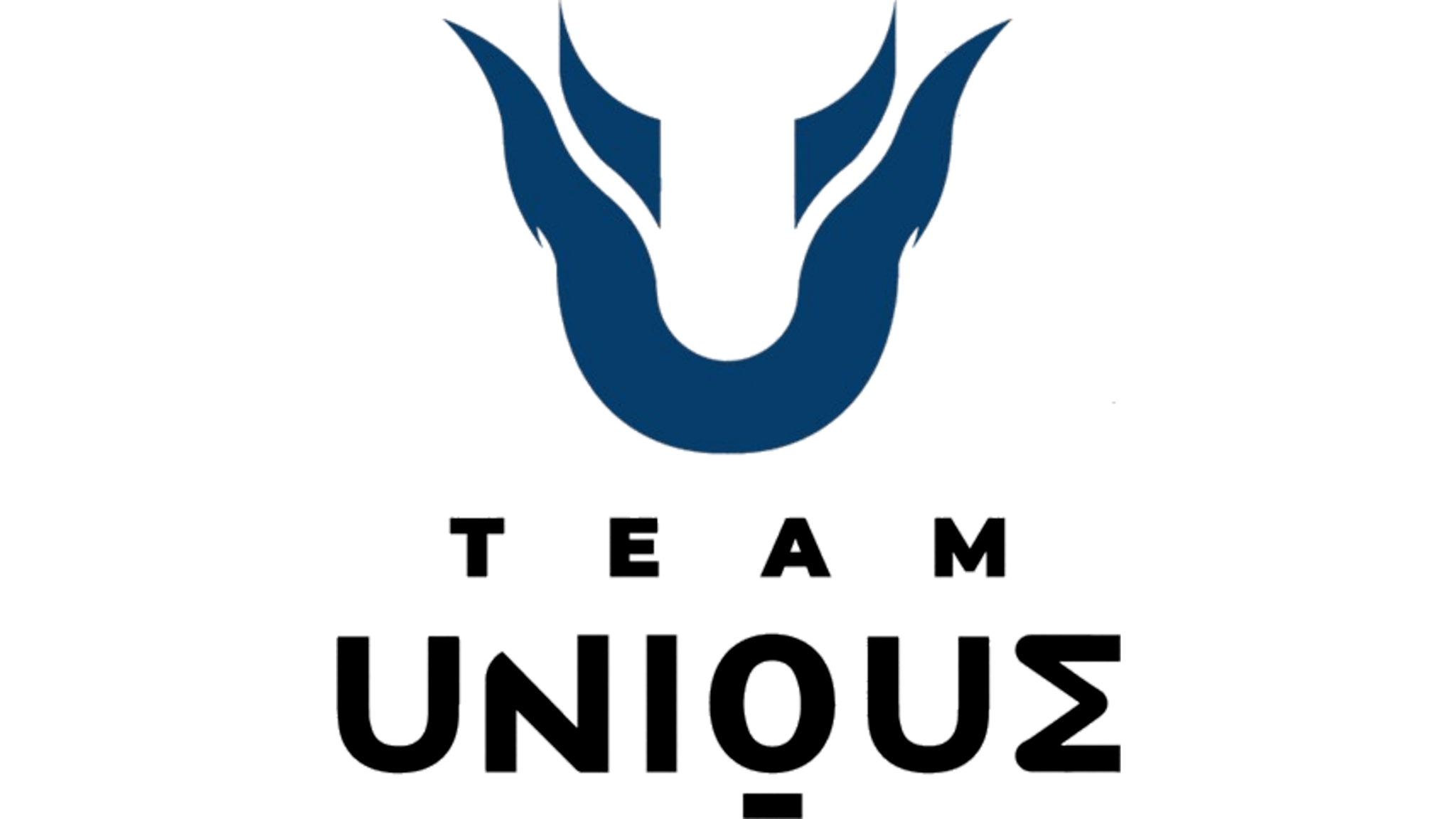 Team Unique подписала состав No Sorry по Dota 2