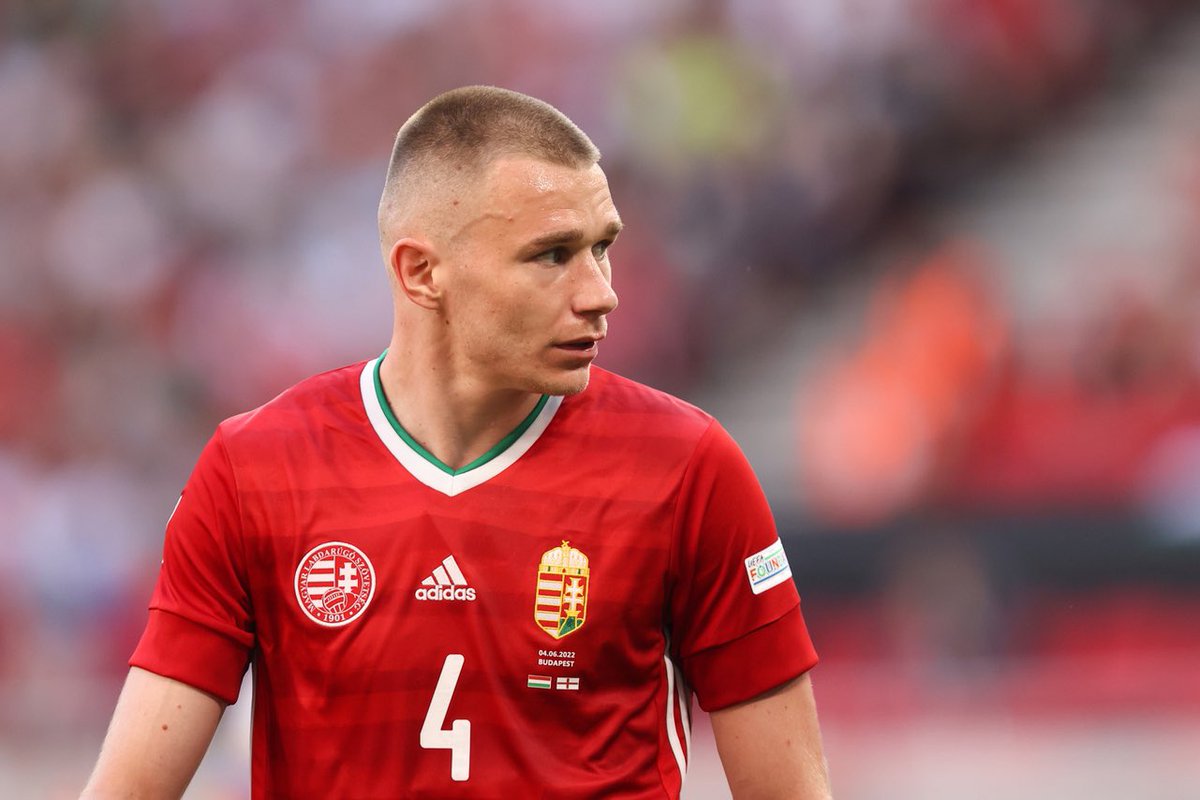 Черногория – Венгрия: прогноз на матч отбора к Евро-2024 17 июня 2023 года
