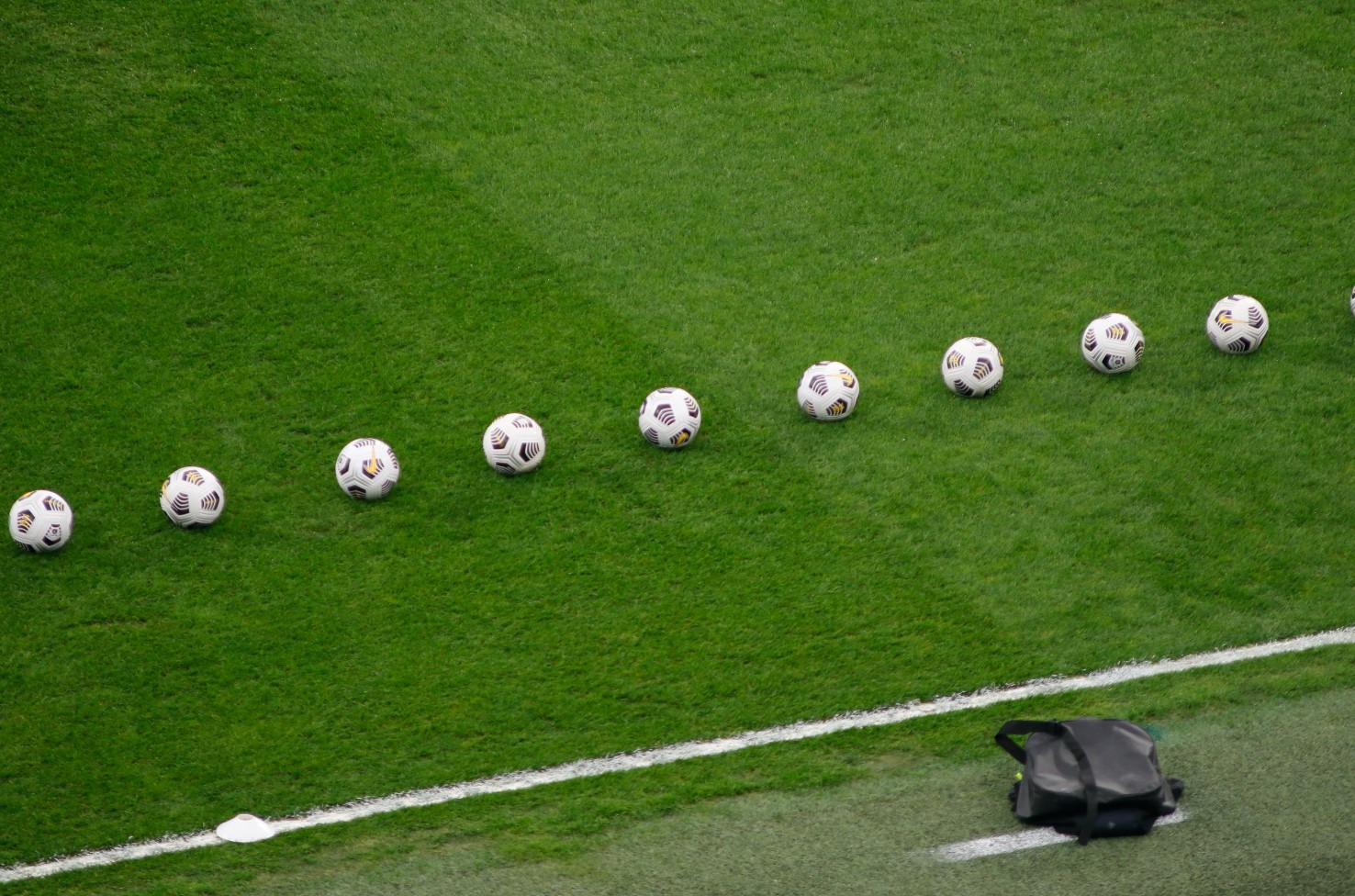 Баджо подвергся нападению и ограблению во время матча Италии и Испании на Евро-2024