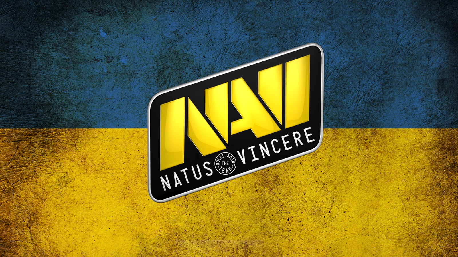 Игроки NaVi поделились мнением о матче против Team Vitality