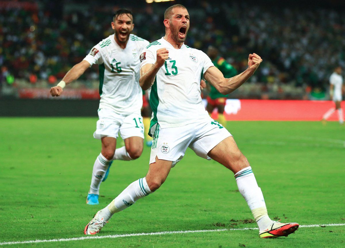 Алжир – Камерун прогноз 29 марта: ставки и коэффициенты на матч квалификации ЧМ-2022