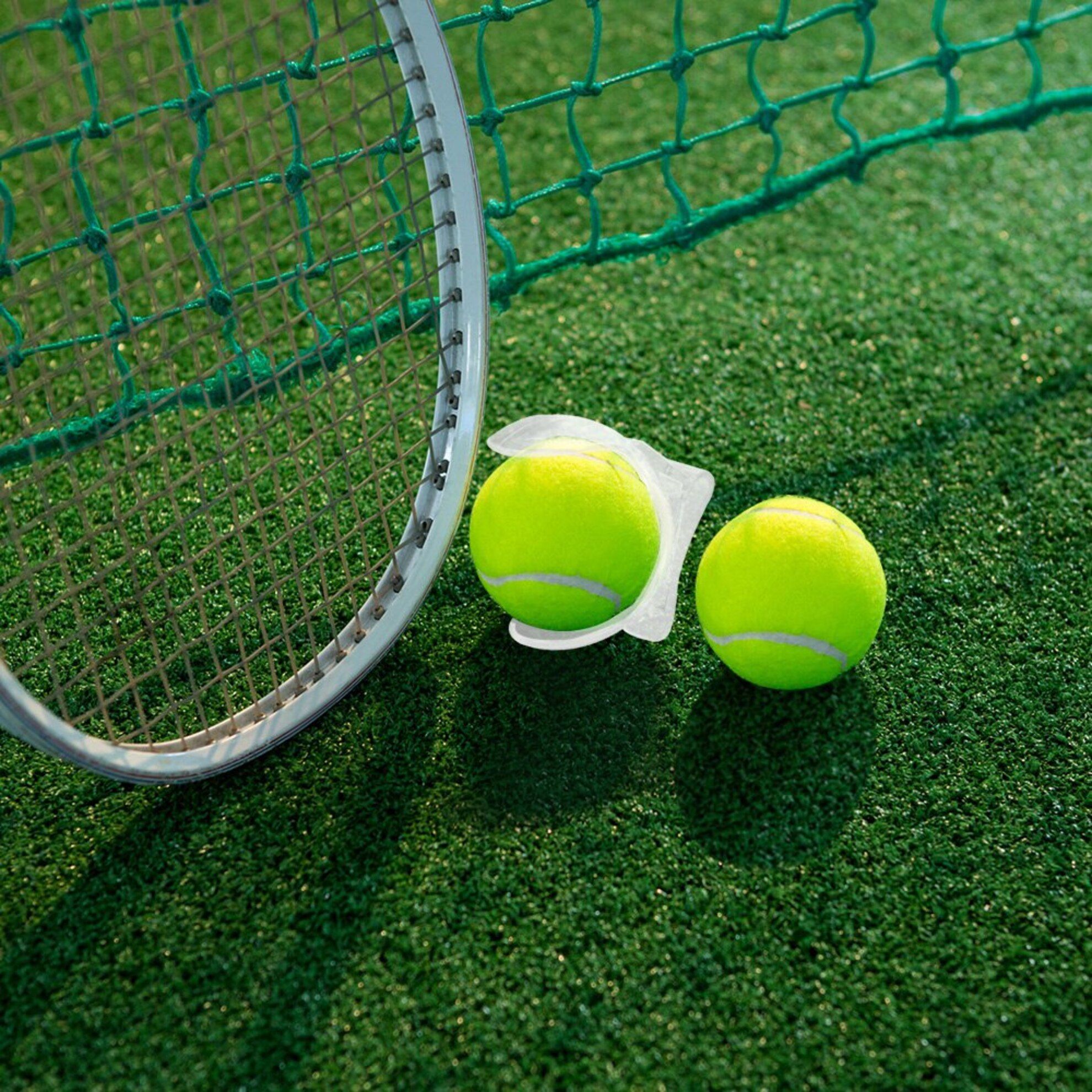 Характеристики теннисного мяча: классификация, стандарты, виды, размеры, материал