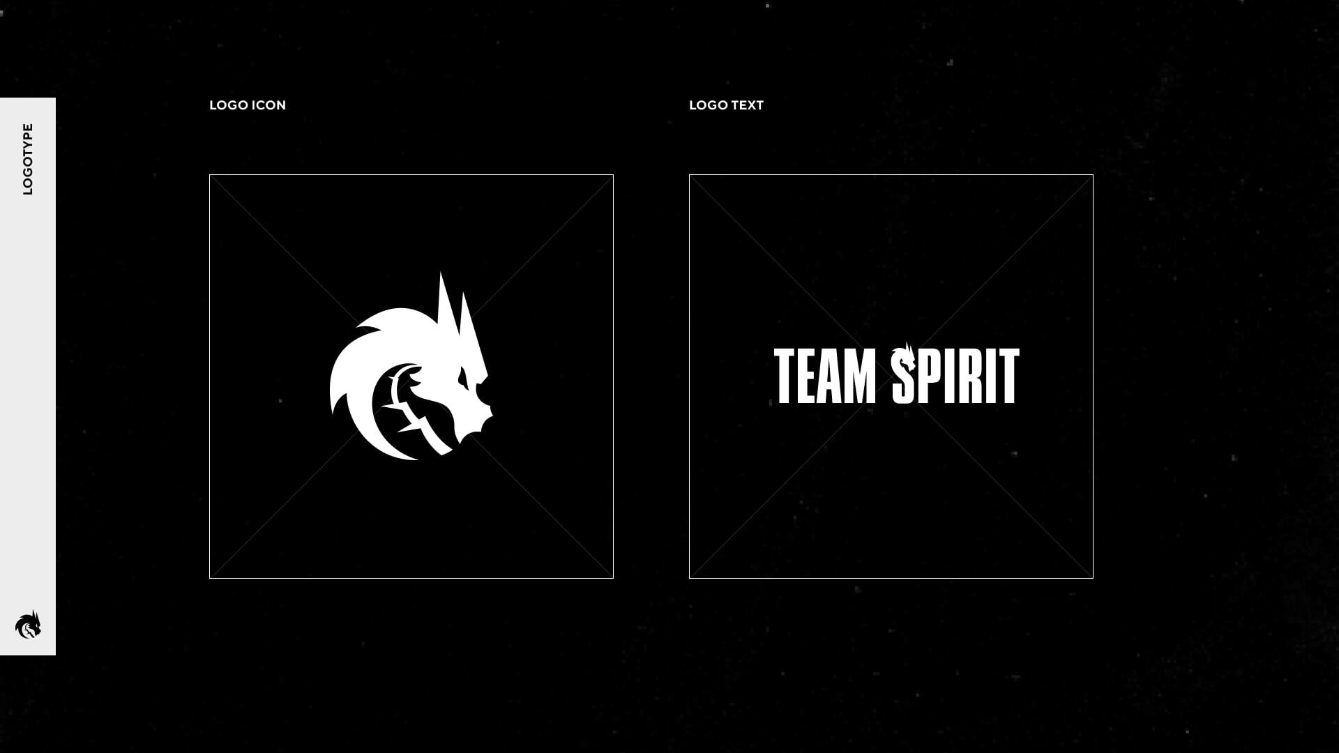 Team Spirit распродала капсульную коллекцию SPIRITED