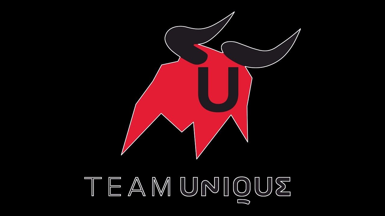 Team Unique представила казахстанский состав по CS:GO