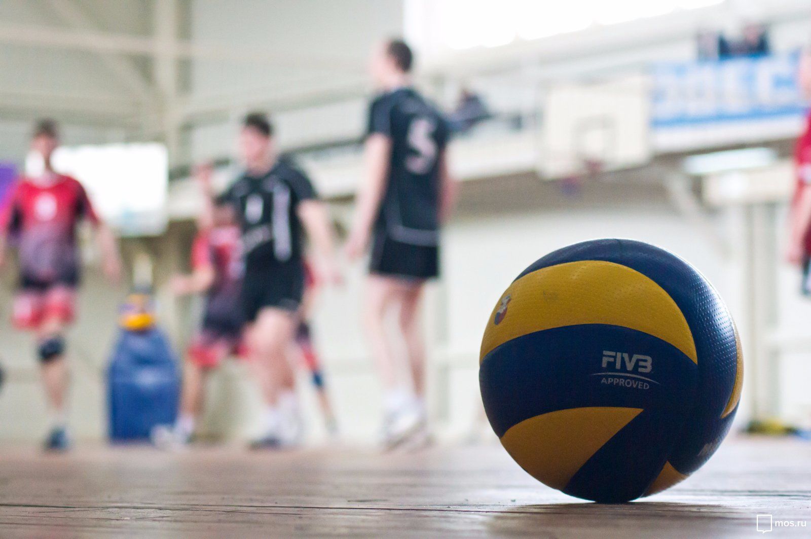 Стратегия игры на волейболе в букмекерских конторах обучение новичка в ставках на спорт всему