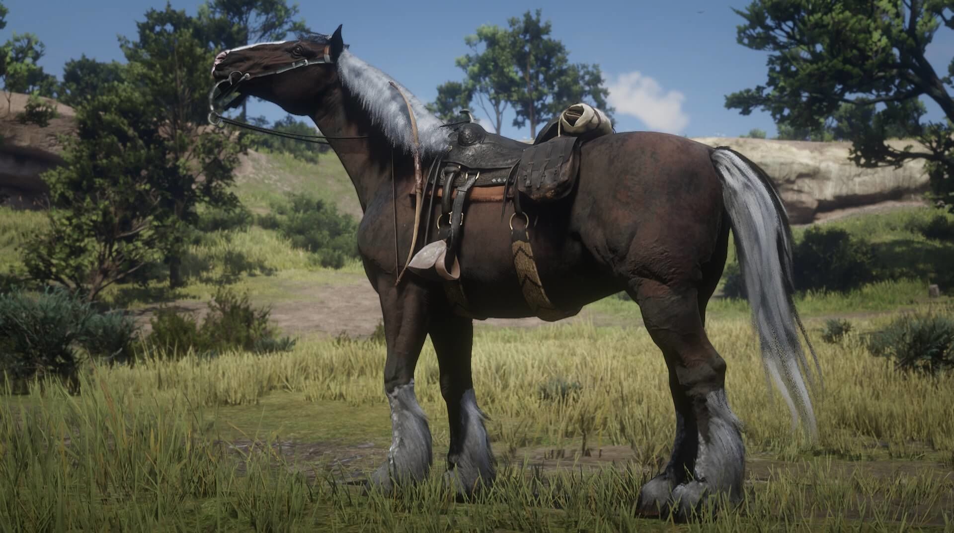 Red Dead Redemption 2 лошадь
